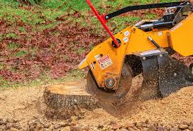 Best Pest Control for Lawns  in Rouse, CA