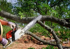 Lawn Pest Prevention in Rouse, CA