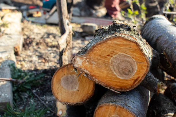 Best Aeration Services  in Rouse, CA