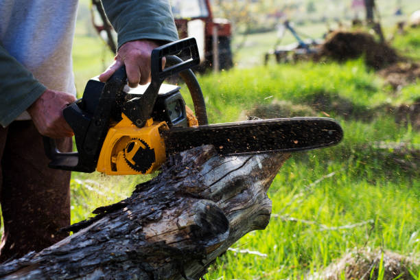 Best Tree Mulching  in Rouse, CA